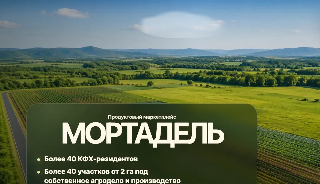 Главный экран сайта Мортадель: ландшафт и название проекта